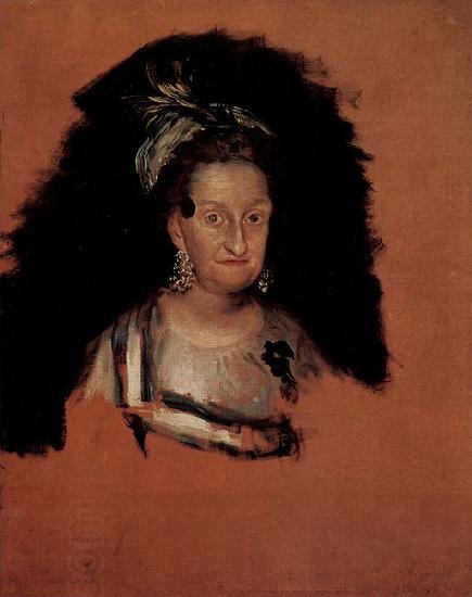 Francisco de Goya hermana de Carlos III oil painting picture